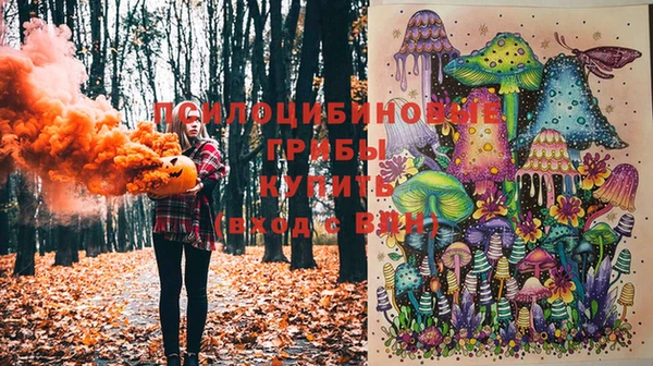 таблы Горнозаводск
