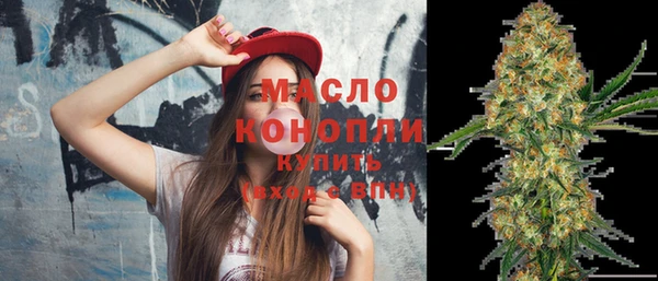 дмт Горняк
