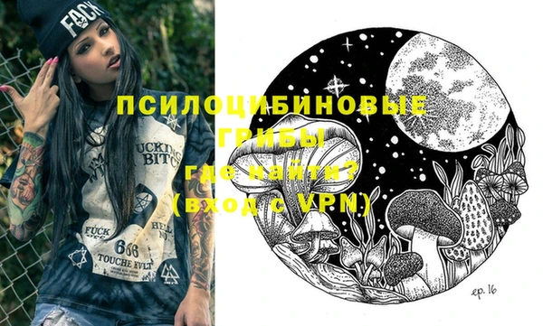 дмт Горняк