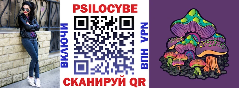 Купить закладки  Суворов  Галлюциногенные грибы Cubensis 