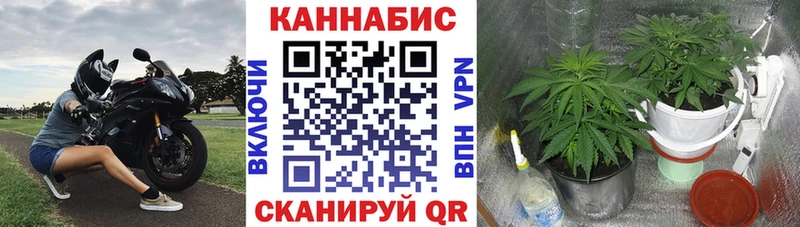 Конопля тримм  Купить где  Суворов 